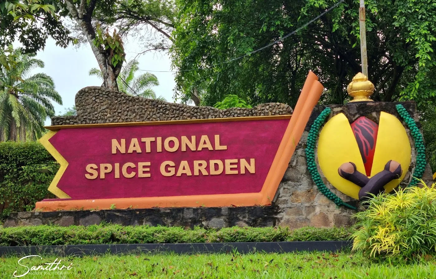 Paseo por un jardín de especias ayurvédico