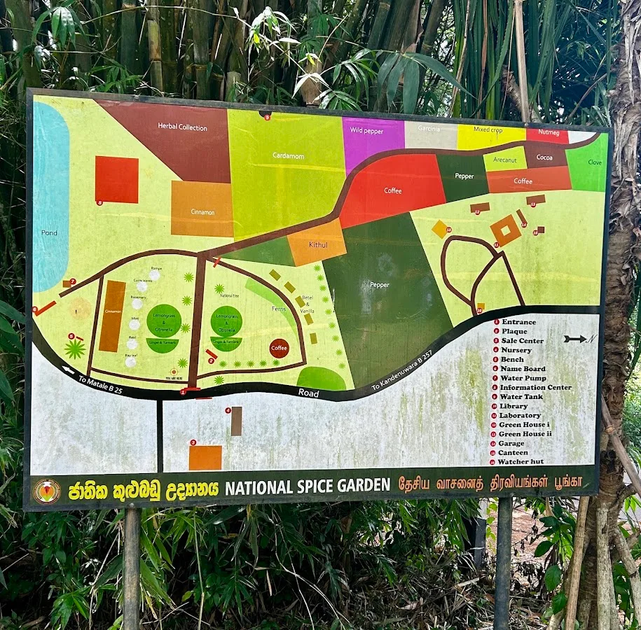 Paseo por un jardín de especias ayurvédico