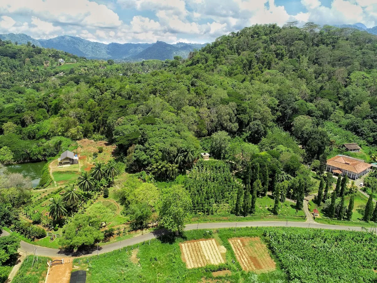 Paseo por un jardín de especias ayurvédico