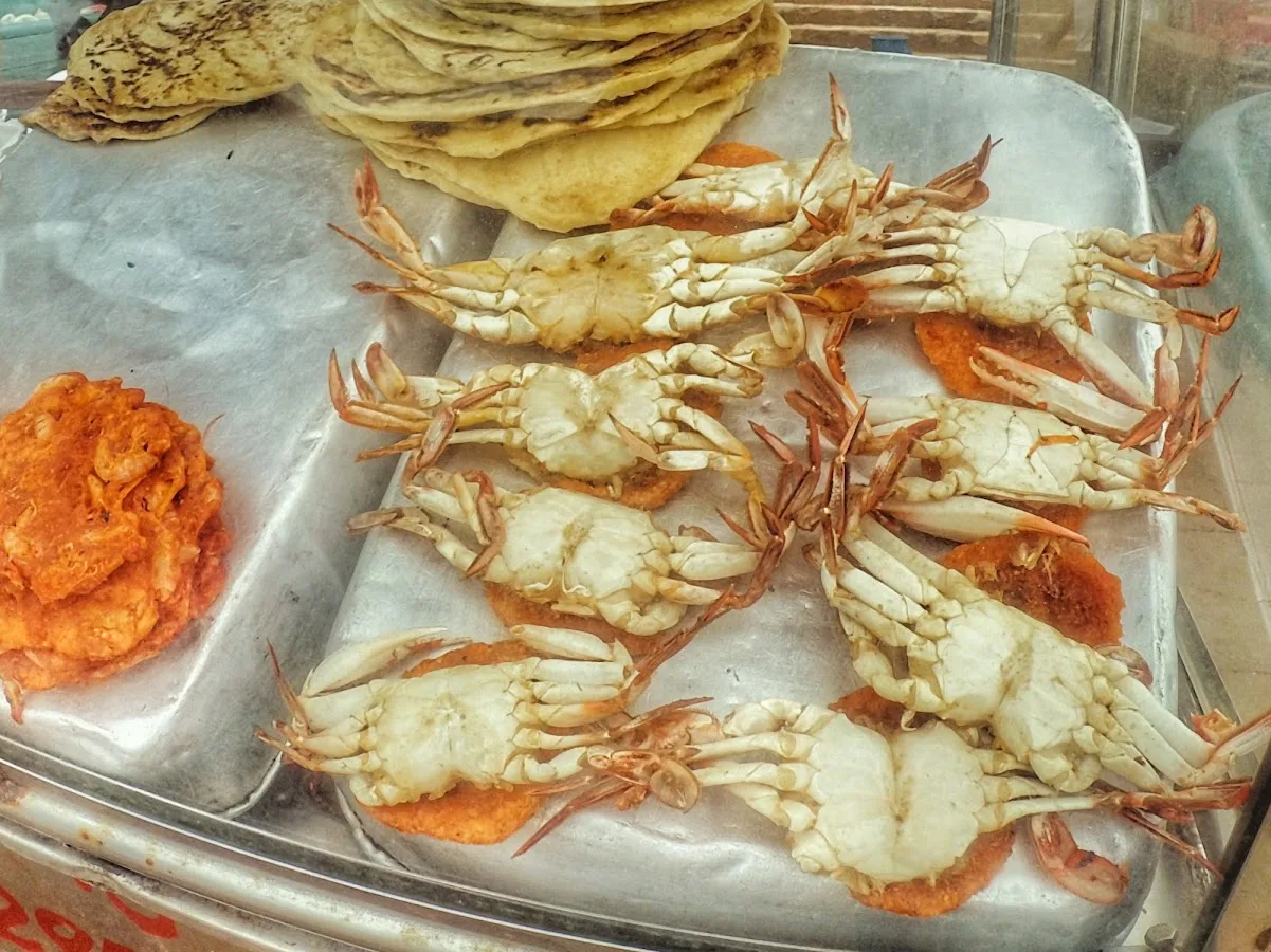 Ruta gastronómica nocturna por Colombo
