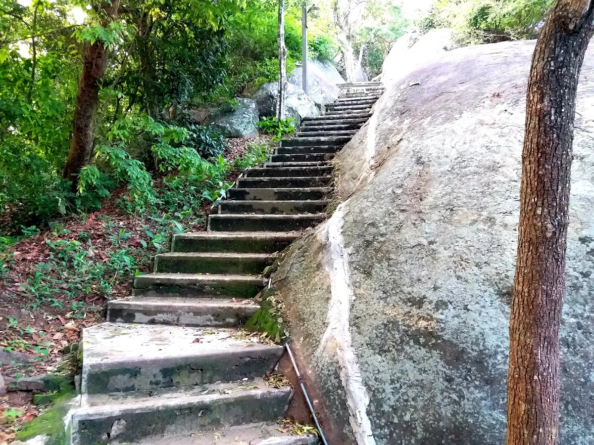 Templo forestal de Enderagala
