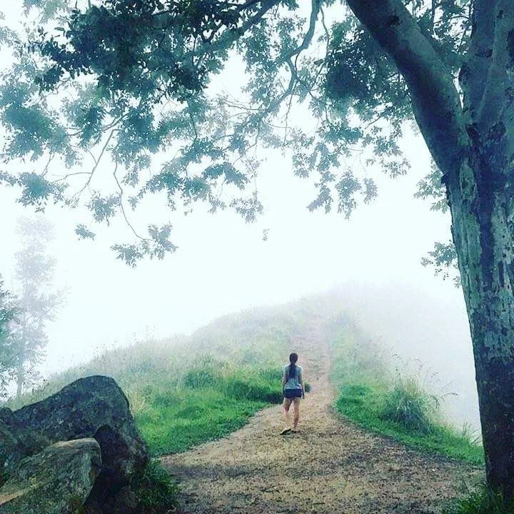 Horton Plains y World's End
