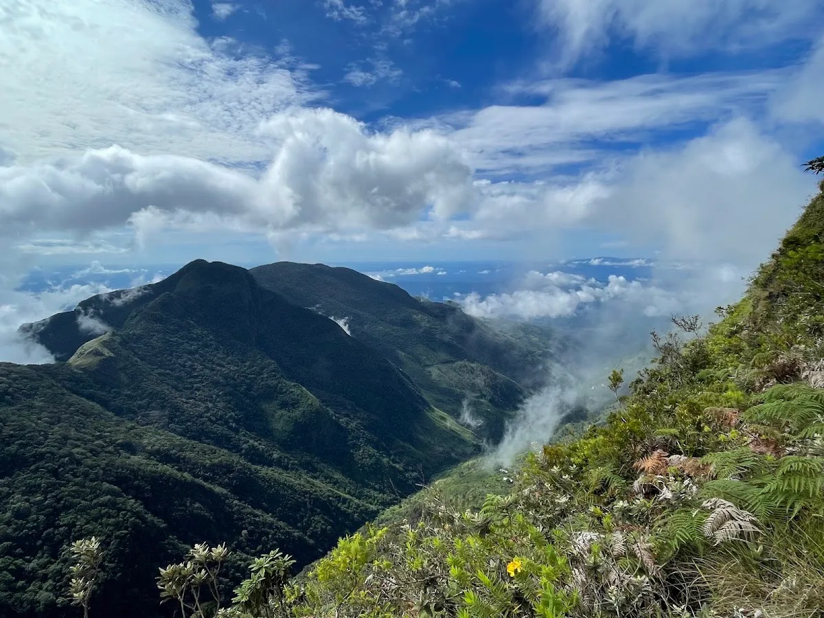 Horton Plains y World's End