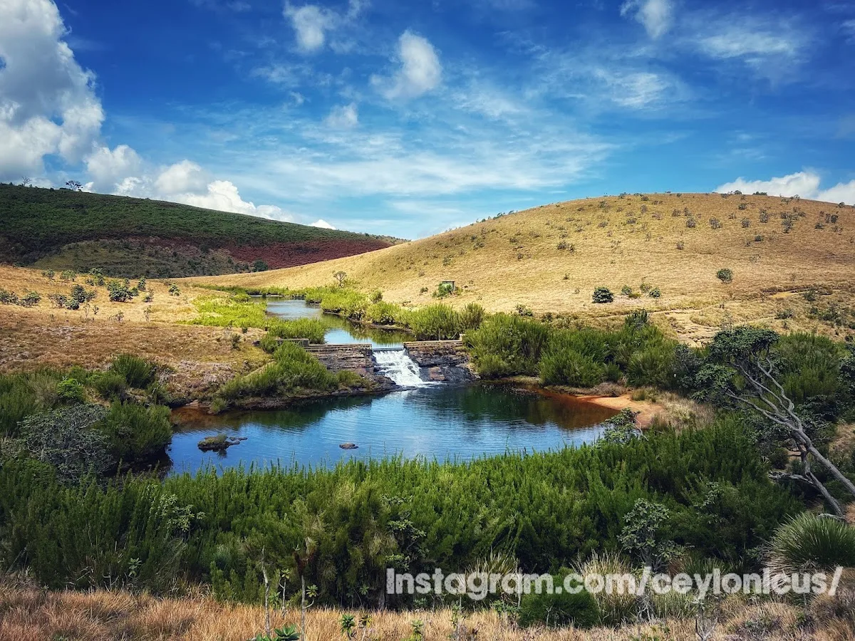 Horton Plains y World's End
