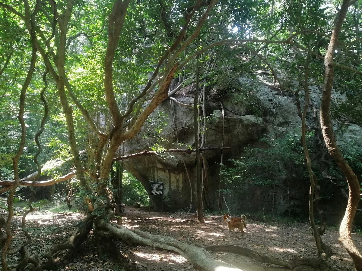 Bosque arqueológico de Kaludiya Pokuna