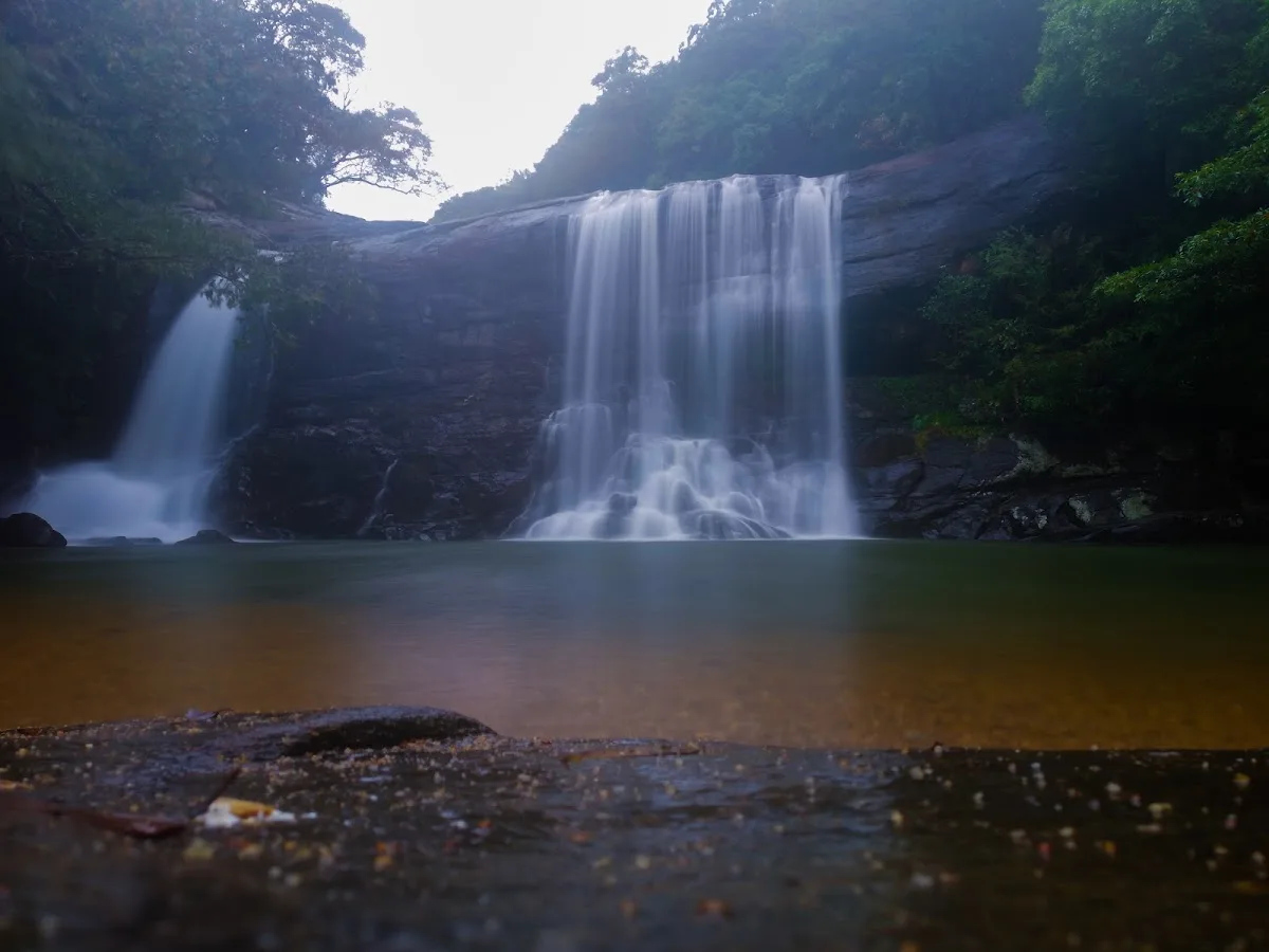 Baño de bosque en Knuckles