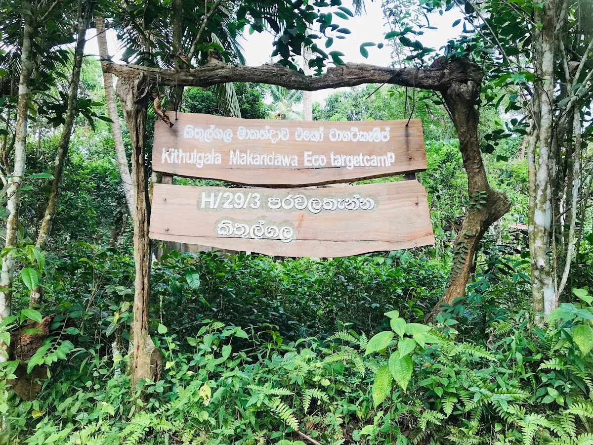 Senderismo en el bosque de Makandawa