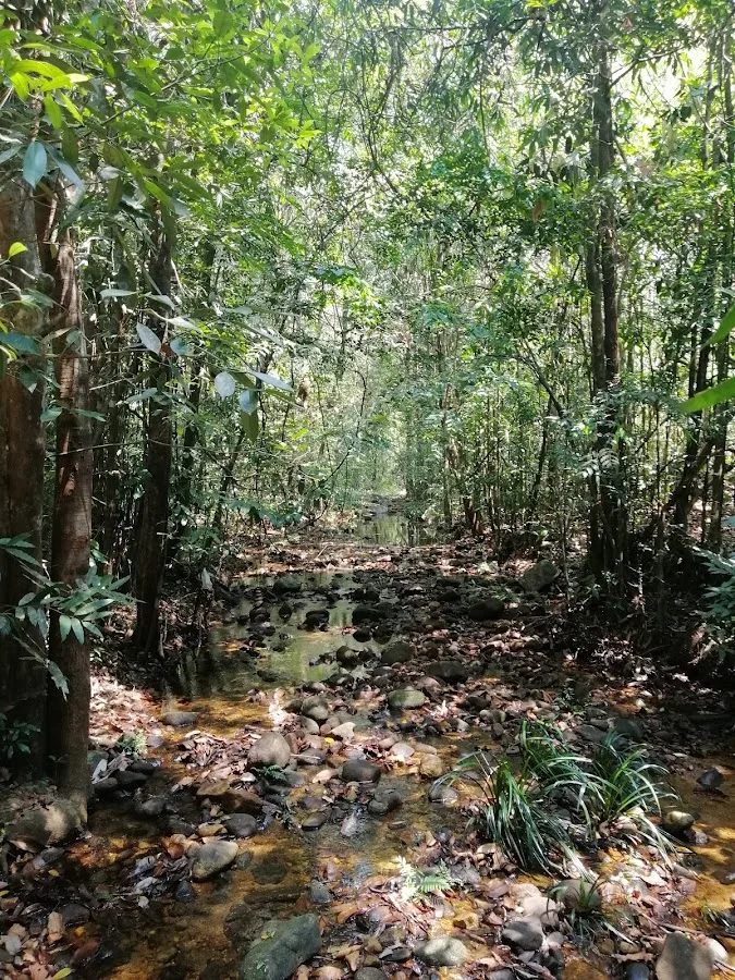 Senderismo en el bosque de Makandawa