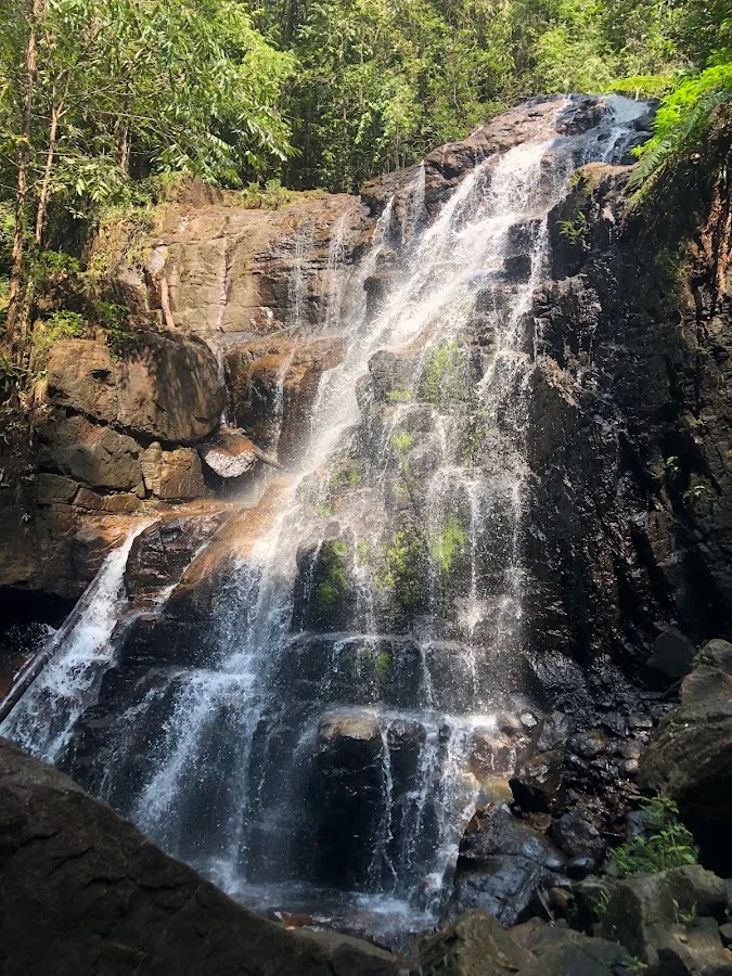 Senderismo en el bosque de Makandawa