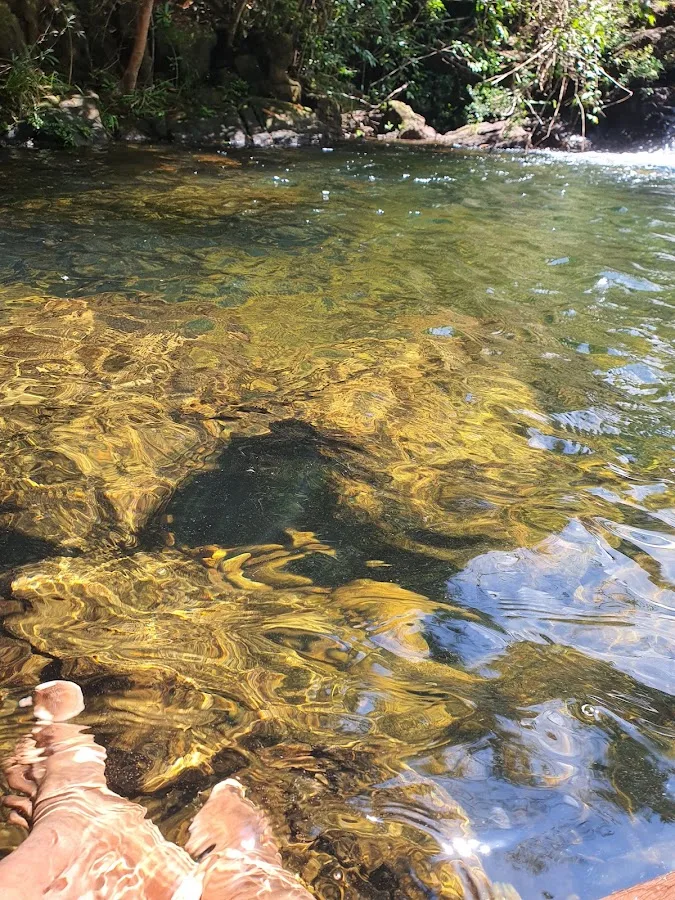 Senderismo en el bosque de Makandawa