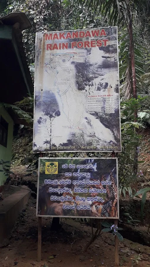 Senderismo en el bosque de Makandawa