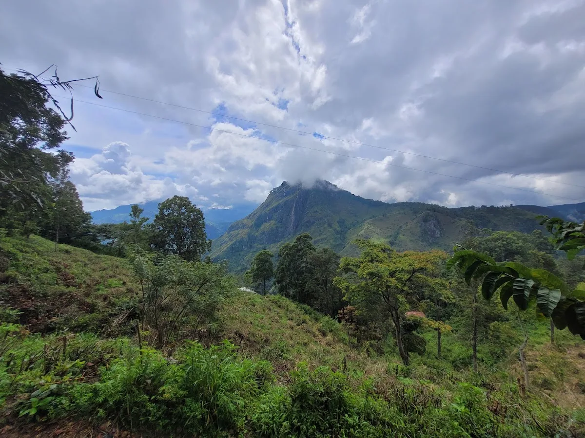 Little Adam's Peak al amanecer