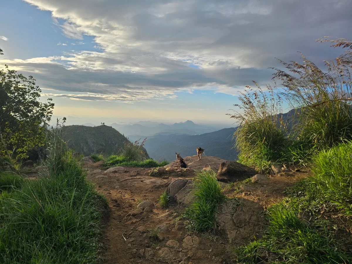 Little Adam's Peak al amanecer