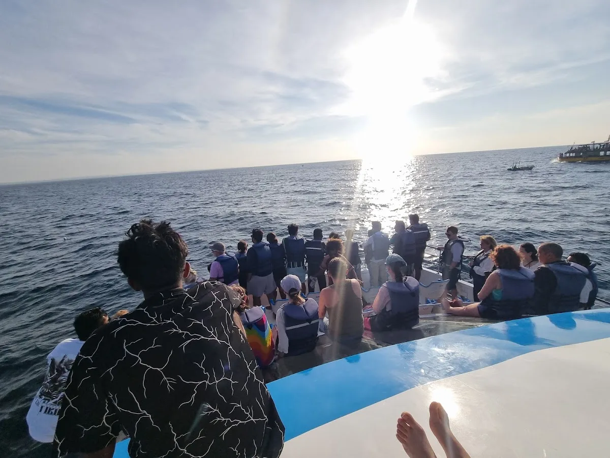 Avistamiento de ballenas en Mirissa