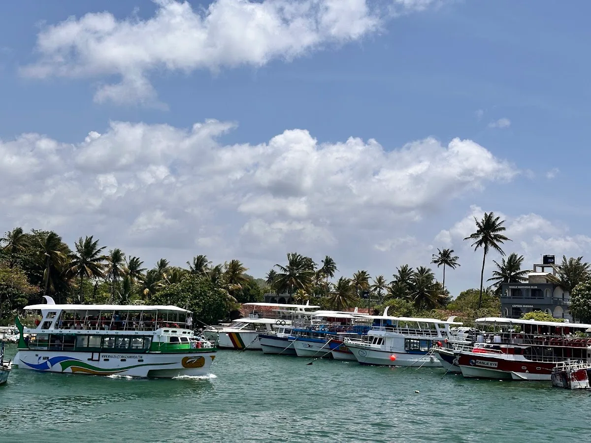 Avistamiento de ballenas en Mirissa