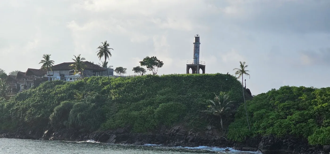 Avistamiento de ballenas en Mirissa