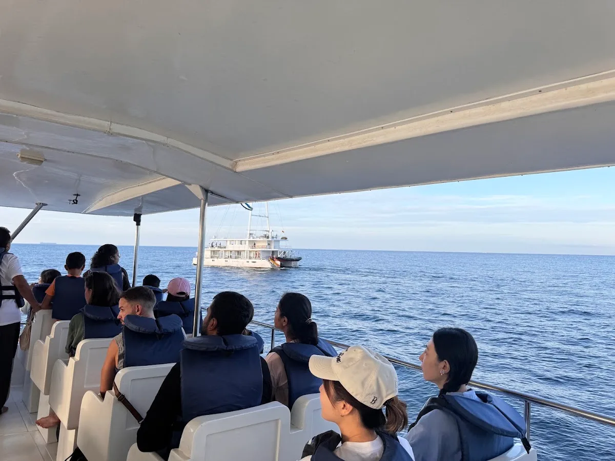 Avistamiento de ballenas en Mirissa