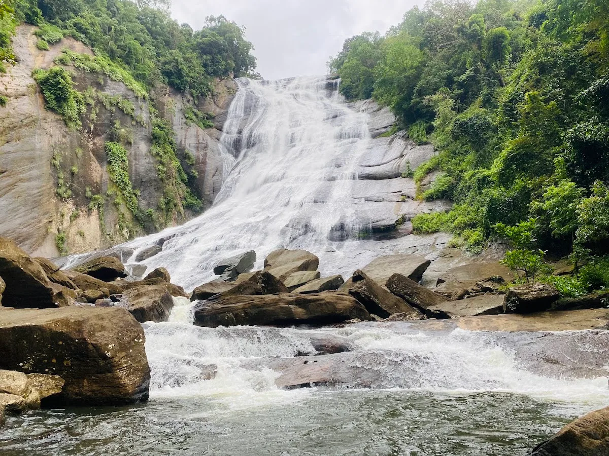 Medio día de cascadas panorámicas y pozas naturales