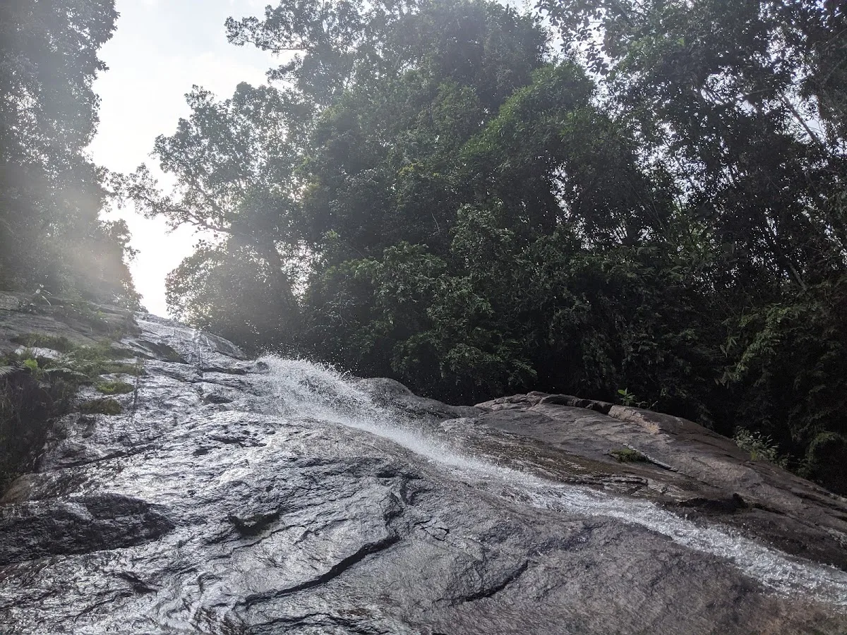 Medio día de cascadas panorámicas y pozas naturales