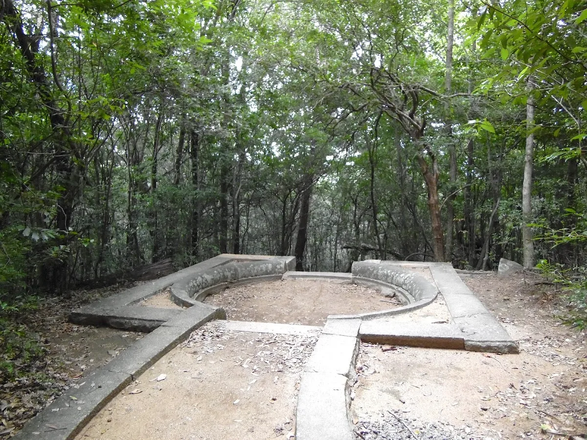 Paseo al silencio del bosque de Ritigala