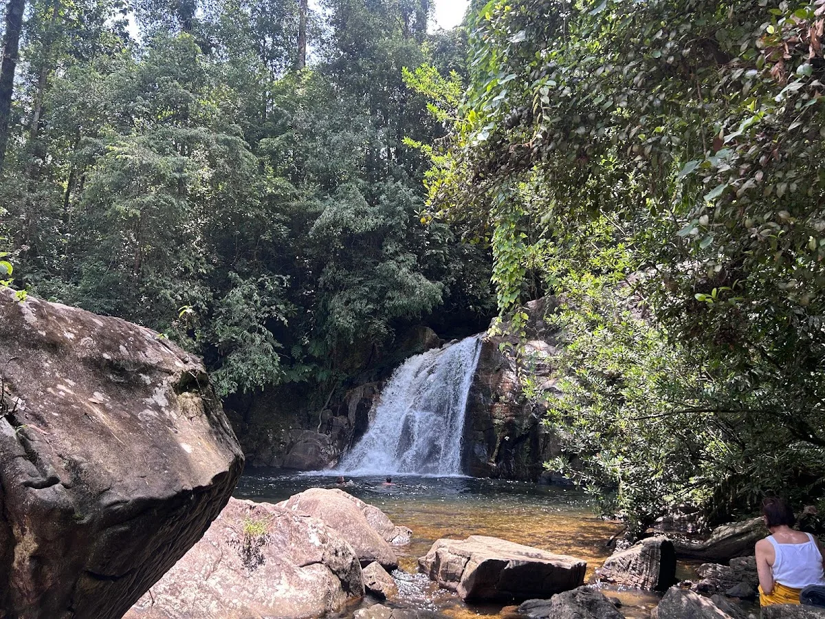 Paseo de atención plena en Sinharaja
