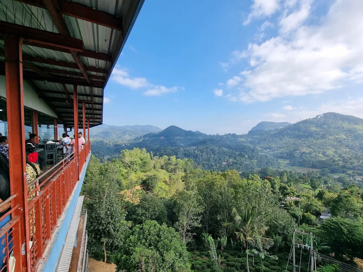 Cata privada de té y visita a la fábrica