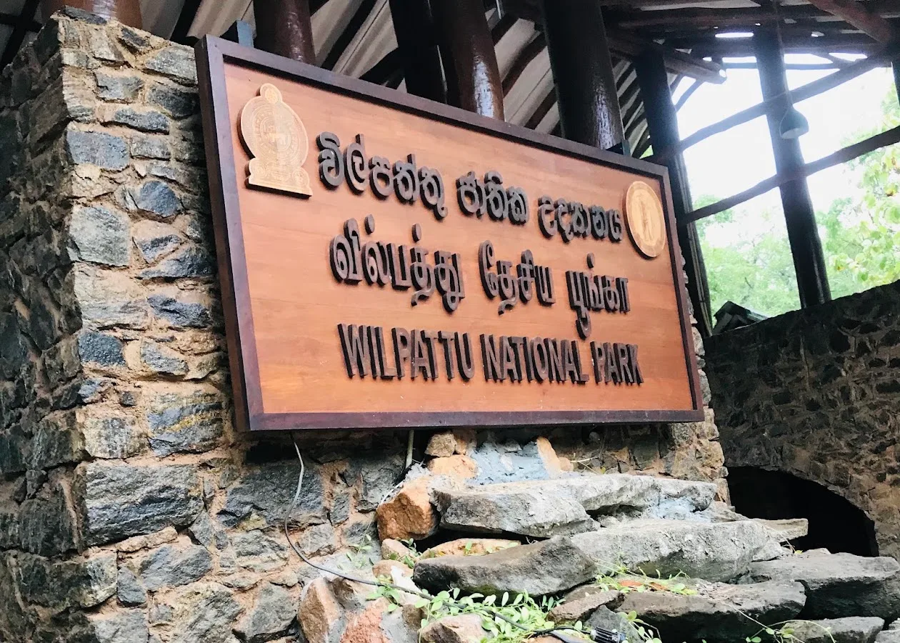 Safari en plena naturaleza en Wilpattu