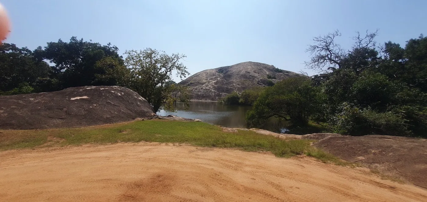 Safari de día completo en Yala