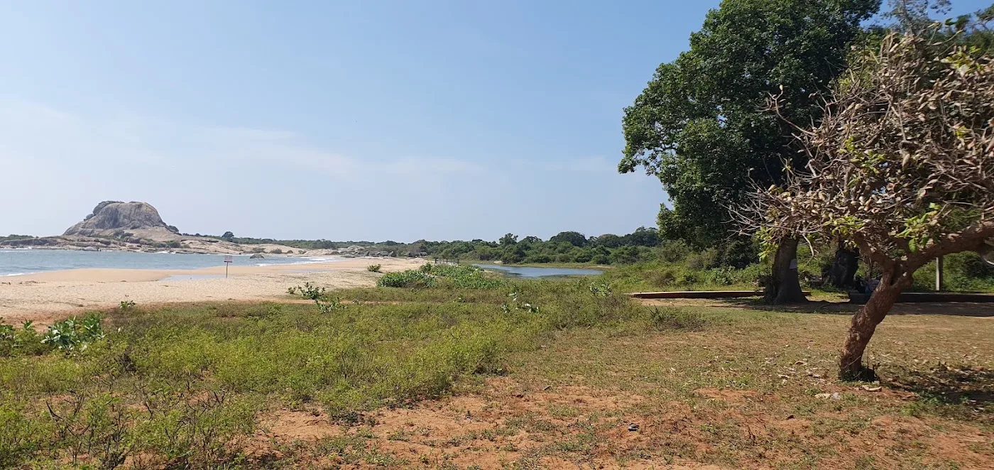 Safari de día completo en Yala